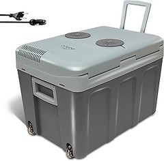 Consejos para elegir la mejor nevera portátil de 12V para tu coche
