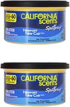 Guía para Hacer un Ambientador de Lata Casero y Natural