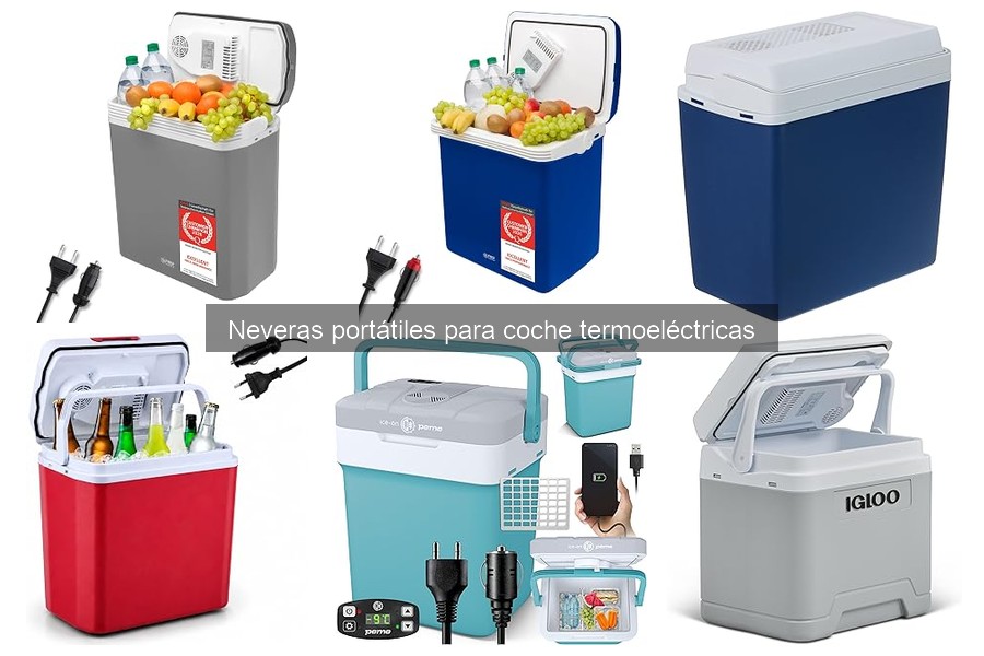 Accesorios útiles para neveras portátiles termoeléctricas