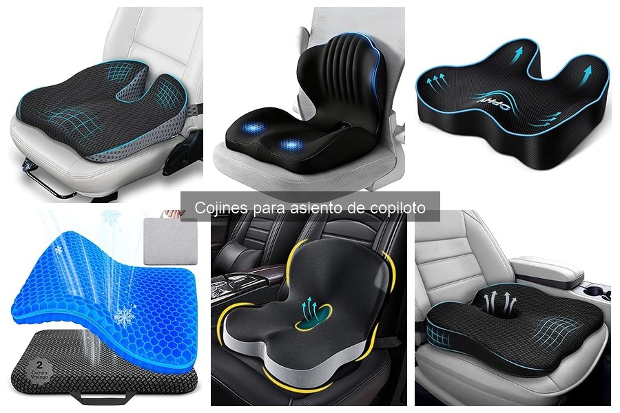 Alternativas a cojines para asiento de copiloto: ¡Descúbrelas!