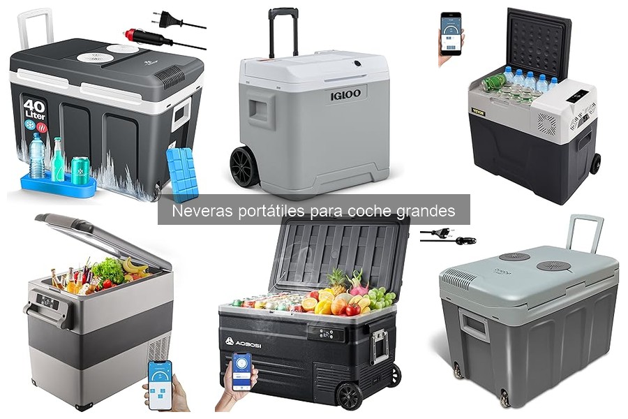 Alternativas a neveras portátiles grandes para coche