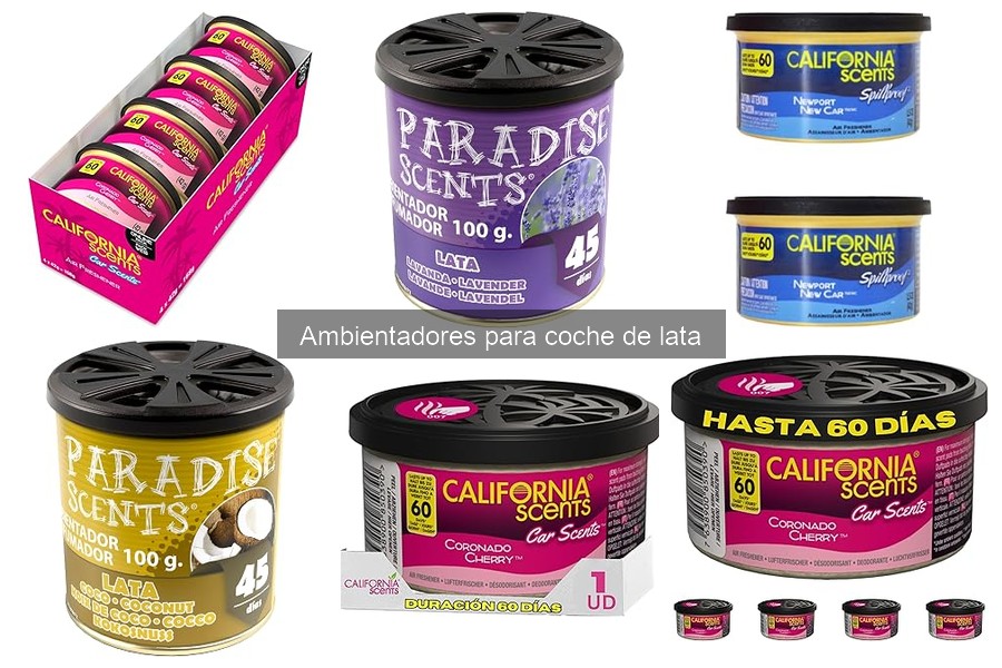 Ambientadores de coche de lata: ¿Son seguros para niños y mascotas?