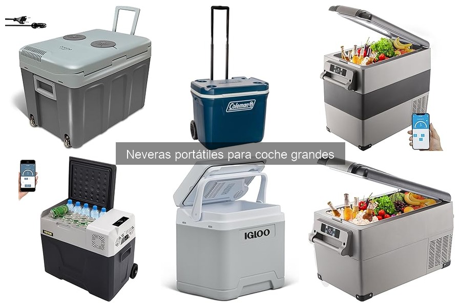 Capacidad ideal de neveras portátiles para coche grandes