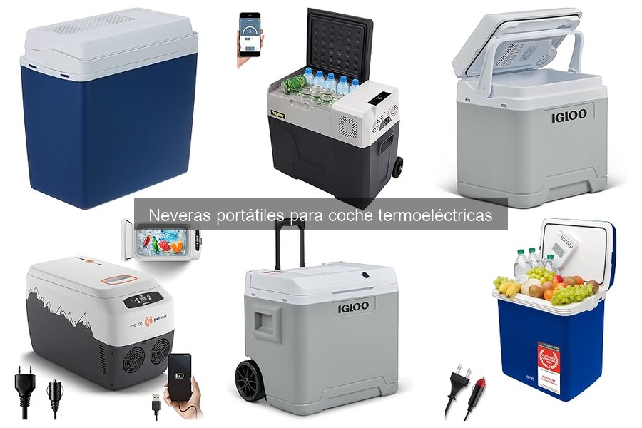Capacidades ideales de neveras termoeléctricas para viajes familiares