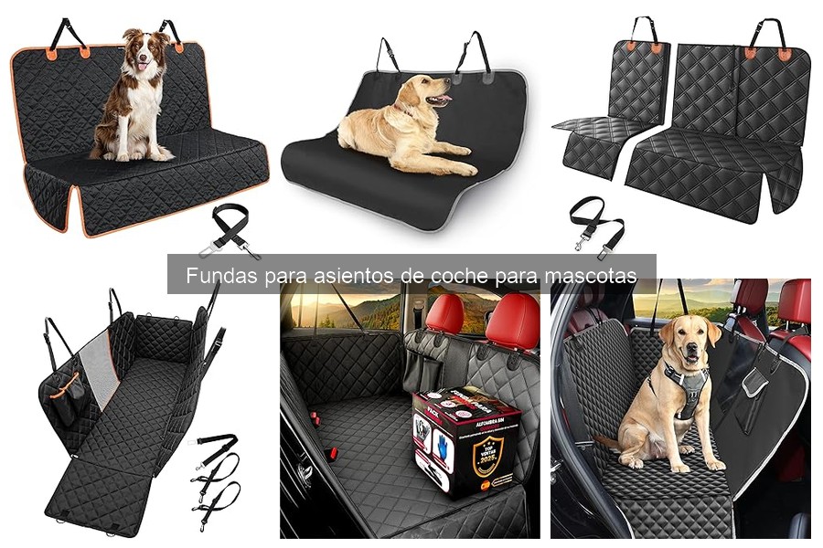 Cómo elegir la mejor funda para asientos de coche para mascotas