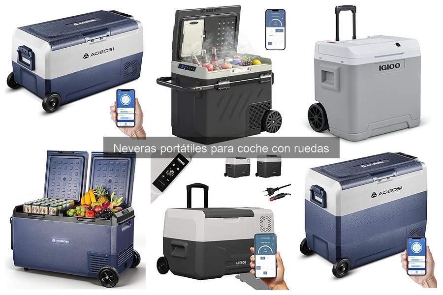 Cómo usar una nevera portátil para coche de forma efectiva