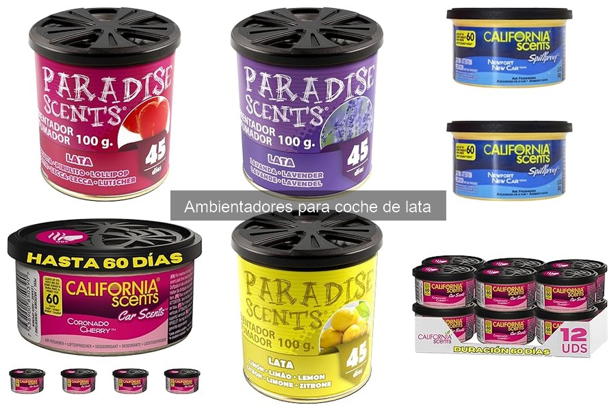 Comparativa: Ambientadores de Lata vs Otros Tipos para Coche