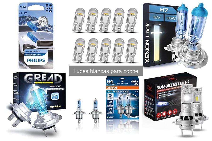 Comparativa: Luces LED vs Halógenas para Coche