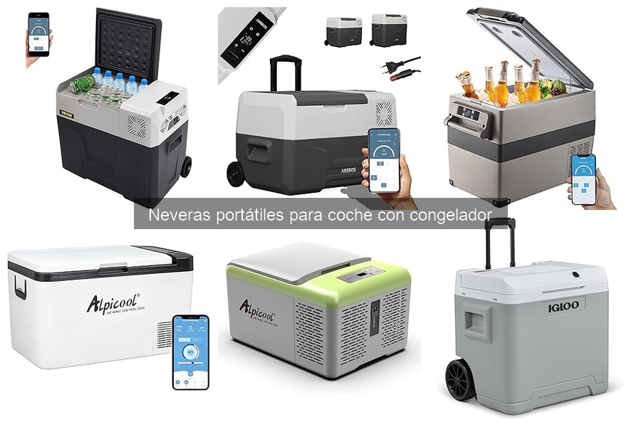 ¿Cuánto cuesta una nevera portátil con congelador para coches?
