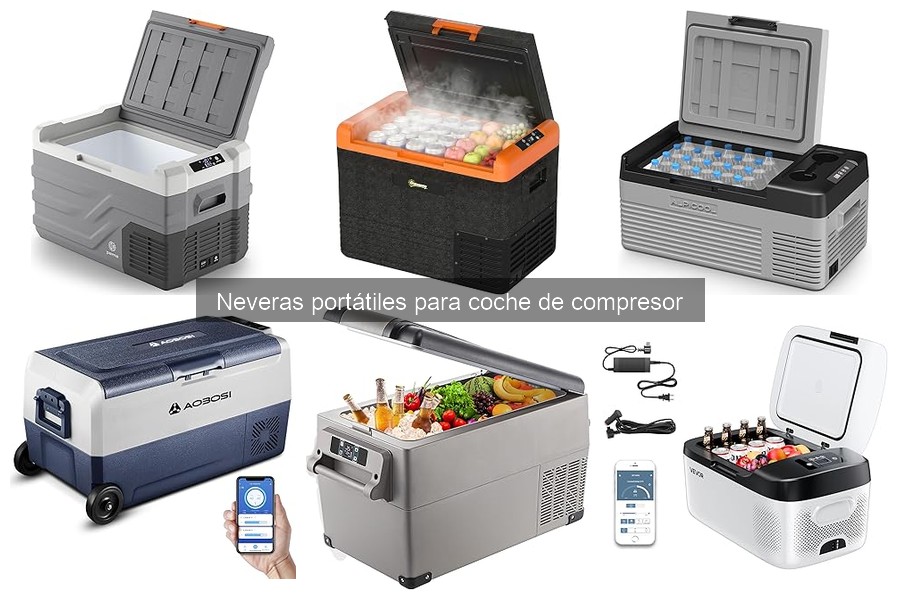 ¿Cuánto cuesta una nevera portátil de compresor?