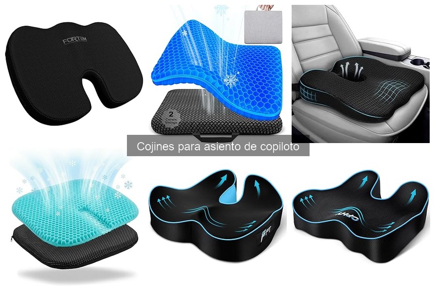 ¿Dónde comprar cojines para asiento de copiloto?