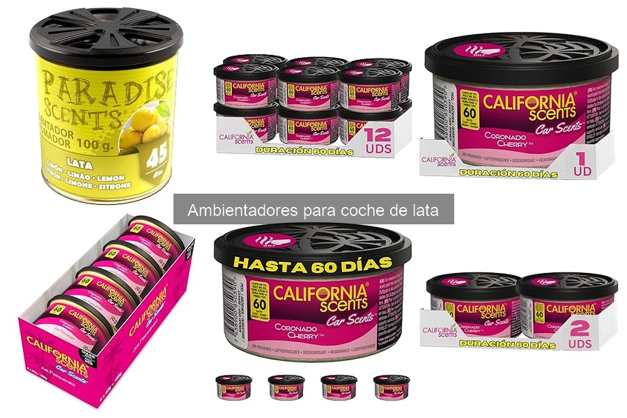 Efectos de los Ambientadores en Lata en la Salud