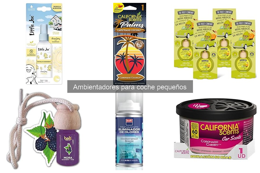 Encuentra Ambientadores para Coche Pequeños en Promoción