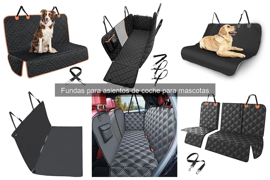 Fundas para asientos de coche para gatos: Guía de compra