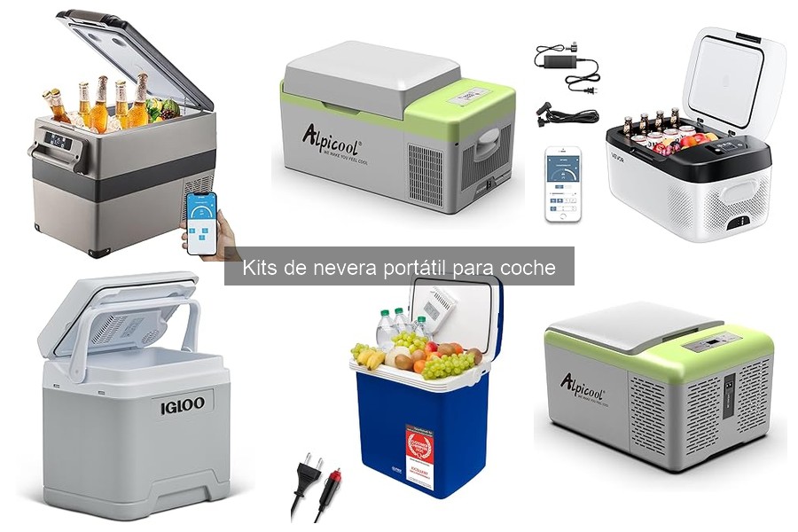 Guía de compra de kits de nevera portátil para coche