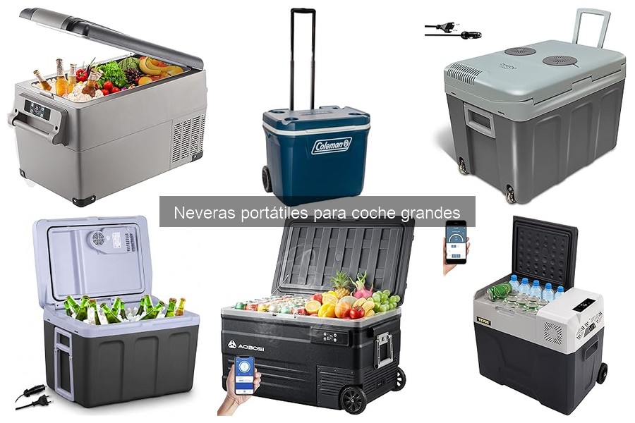 Guía de compra de neveras portátiles grandes para coche