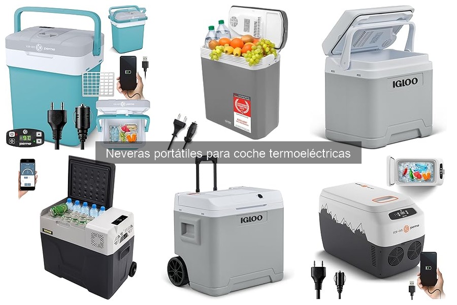 Guía de neveras portátiles termoeléctricas para coche