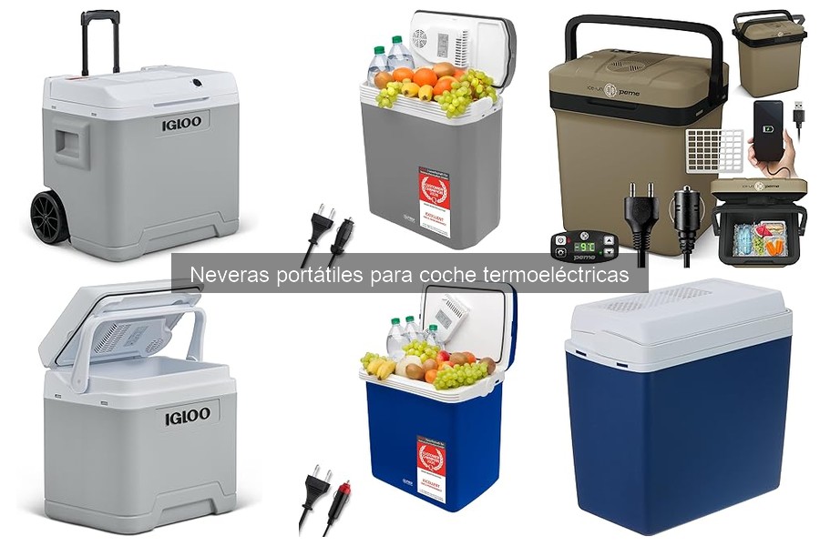 Guía para elegir la nevera portátil termoeléctrica ideal