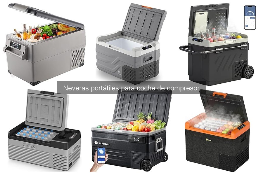 Mantenimiento de Neveras Portátiles de Compresor para Coche