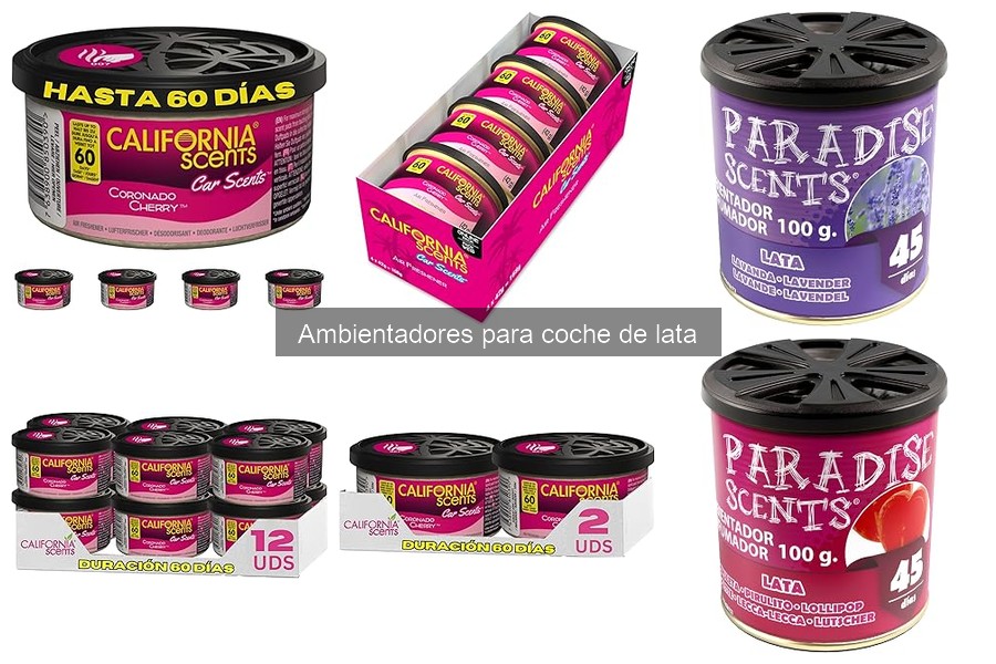 Mejores ambientadores de lata para coches grandes
