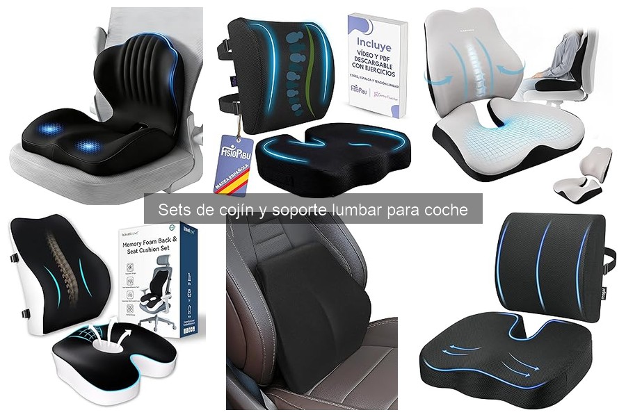 Mejores lugares para comprar cojines lumbares para coche