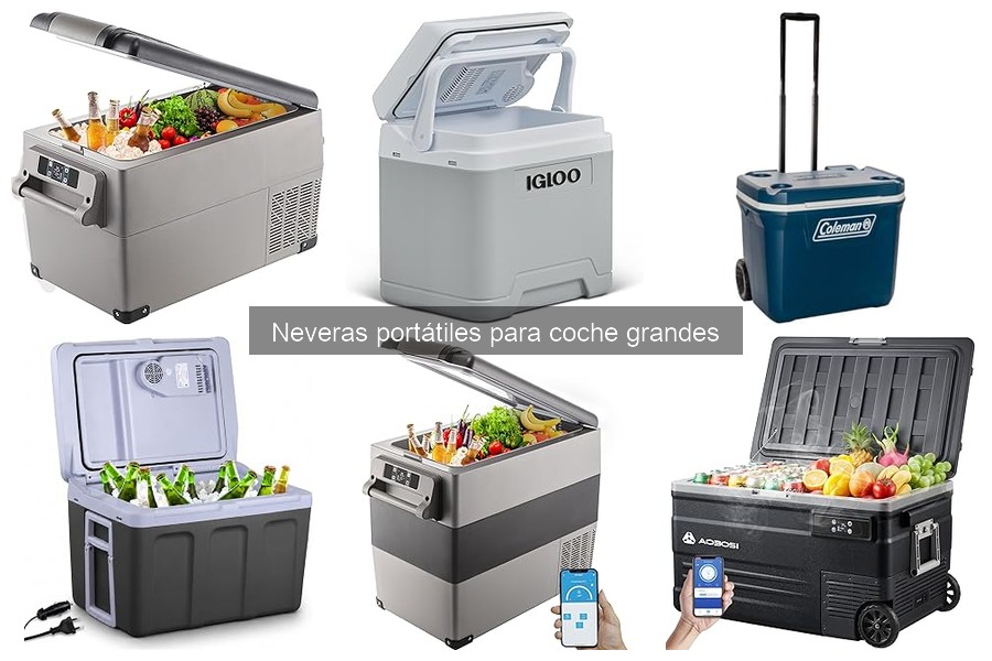 Mejores neveras portátiles grandes para camping en 2023