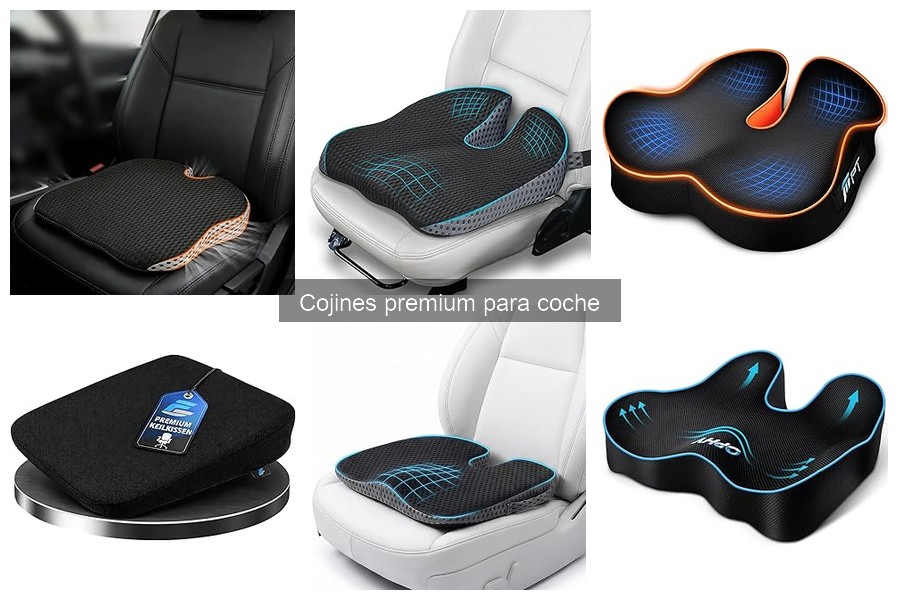 Opiniones de usuarios sobre cojines premium para coche