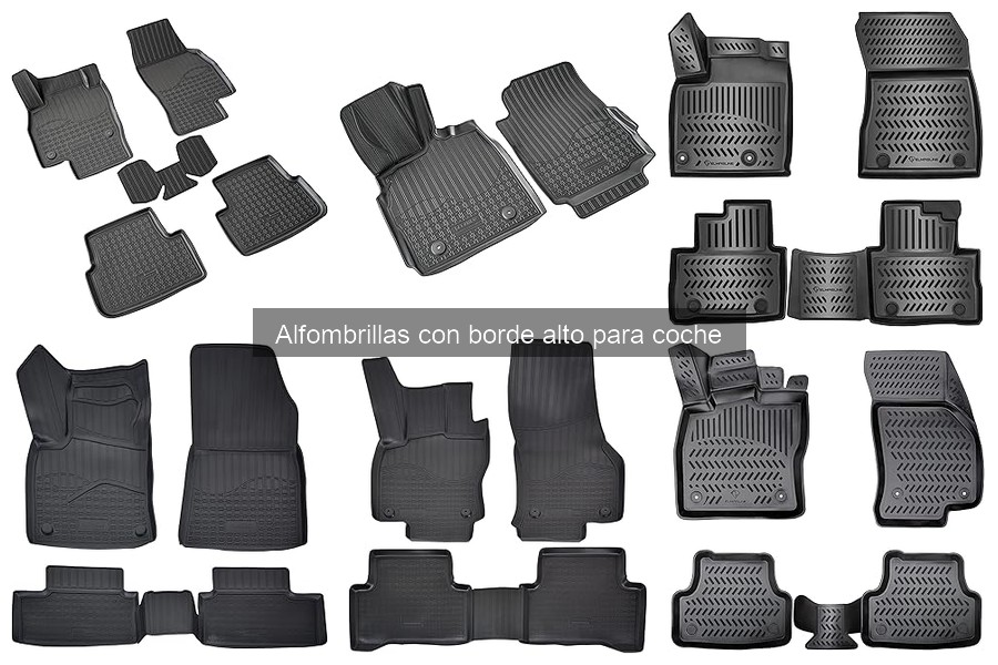 Opiniones sobre Alfombrillas con Borde Alto para Coche
