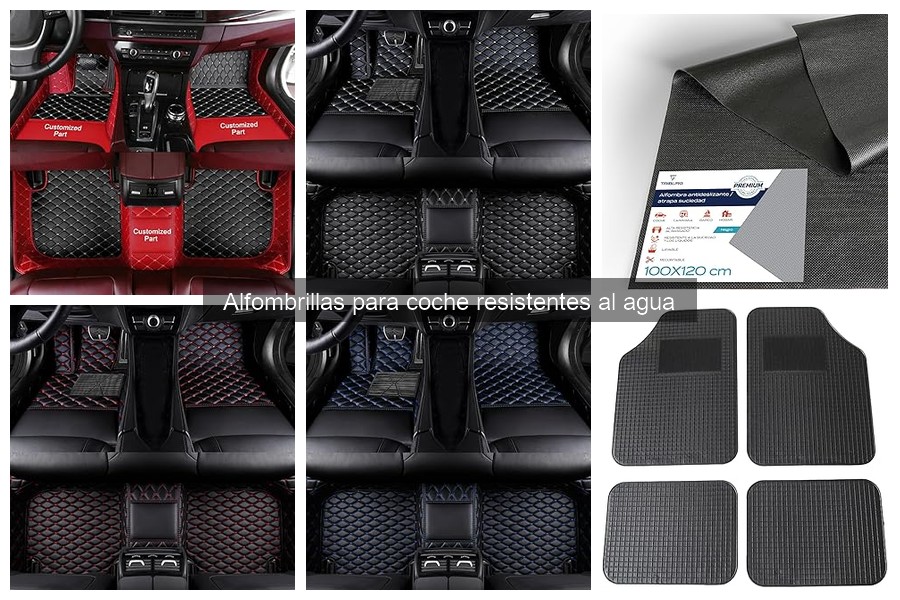 Opiniones sobre Alfombrillas Resistentes al Agua para Coche