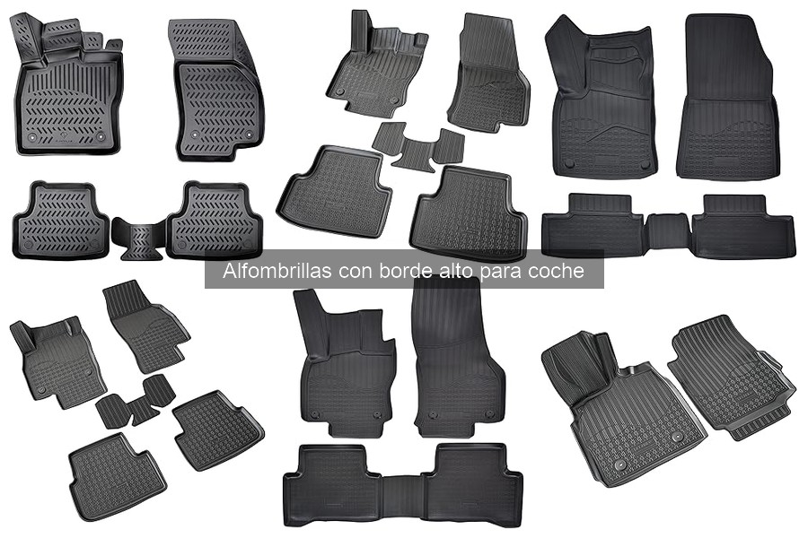 Precios y dónde comprar alfombrillas con borde alto para coche
