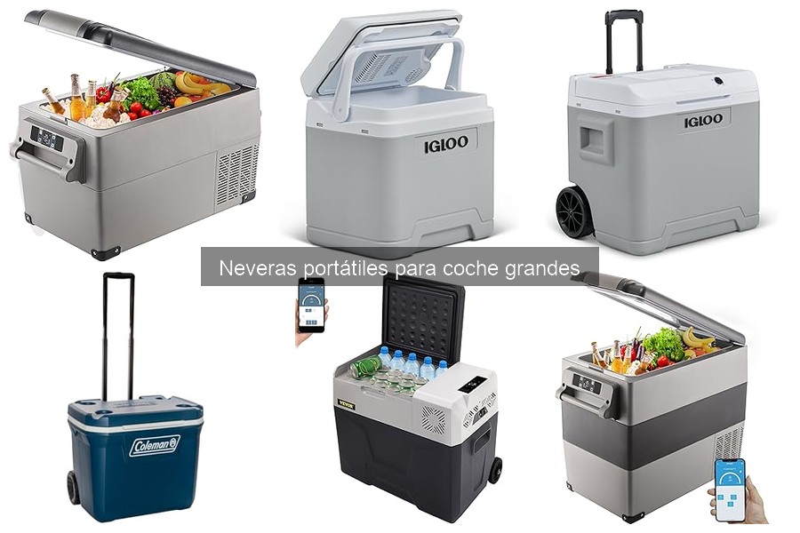 Problemas Comunes con Neveras Portátiles para Coche Grandes