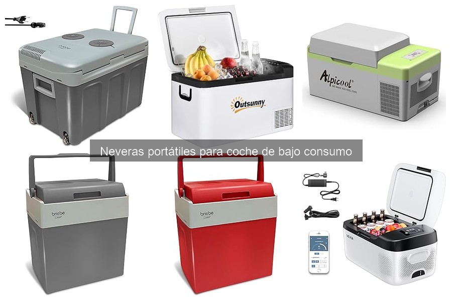 ¿Qué es una nevera portátil de bajo consumo para coche?