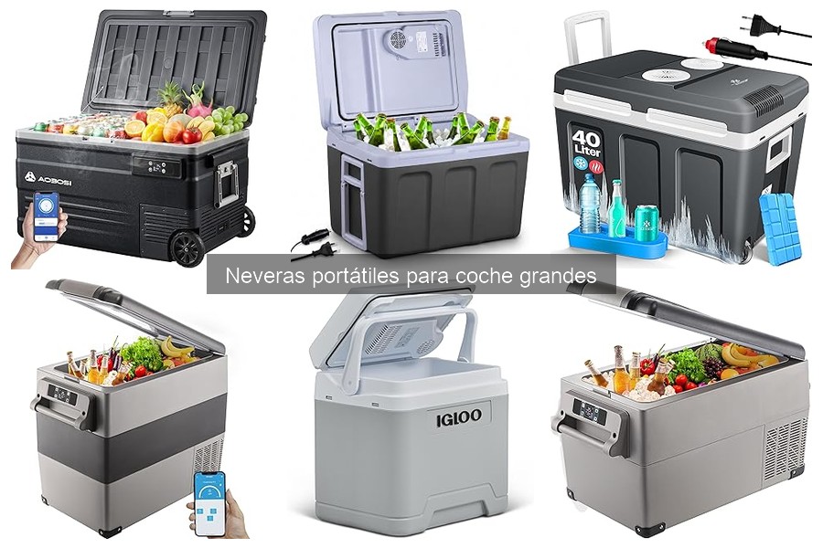 Qué es una nevera portátil para coche grande: guía esencial