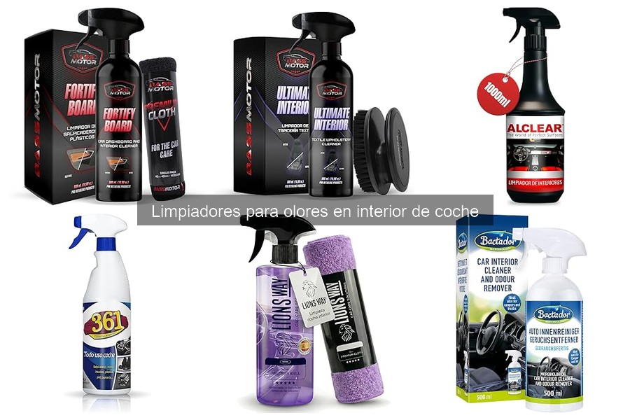 ¿Qué hacer si el olor persiste tras usar limpiadores para coche?