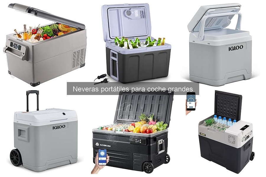 Testimonios de usuarios sobre neveras portátiles grandes