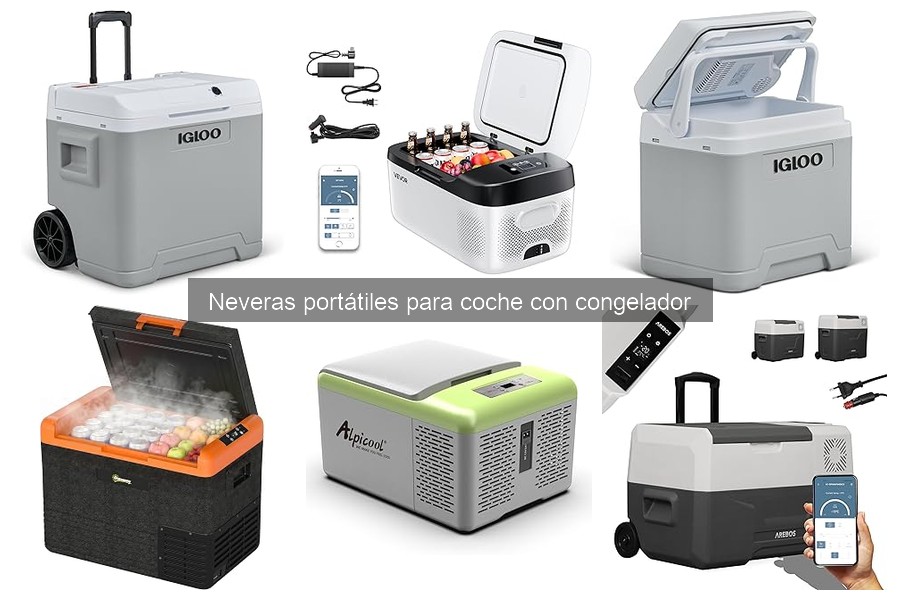 Tipos de neveras portátiles para coche con congelador