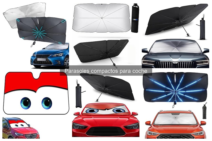 Tipos de parasoles compactos para coche: guía completa