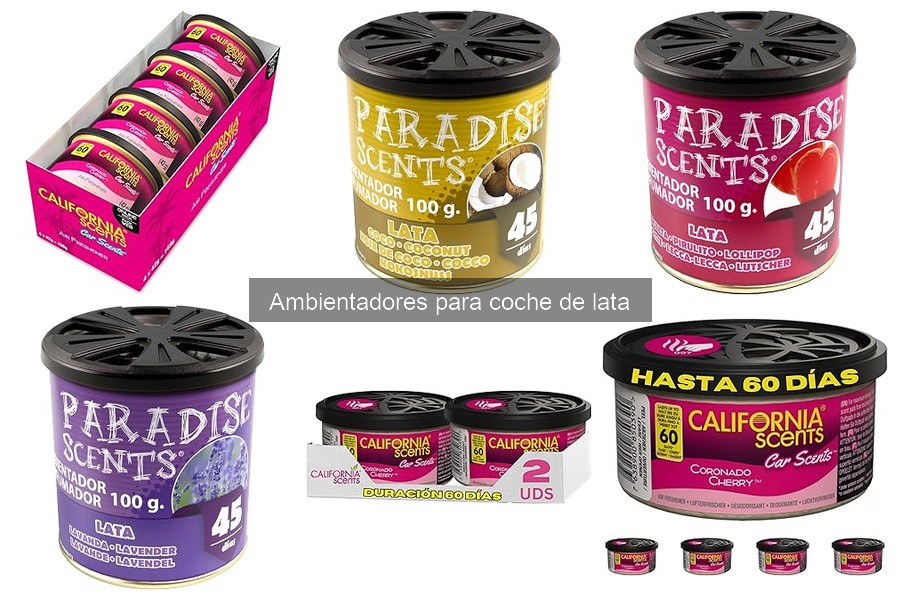 Ventajas y Desventajas de Ambientadores en Lata para Coche